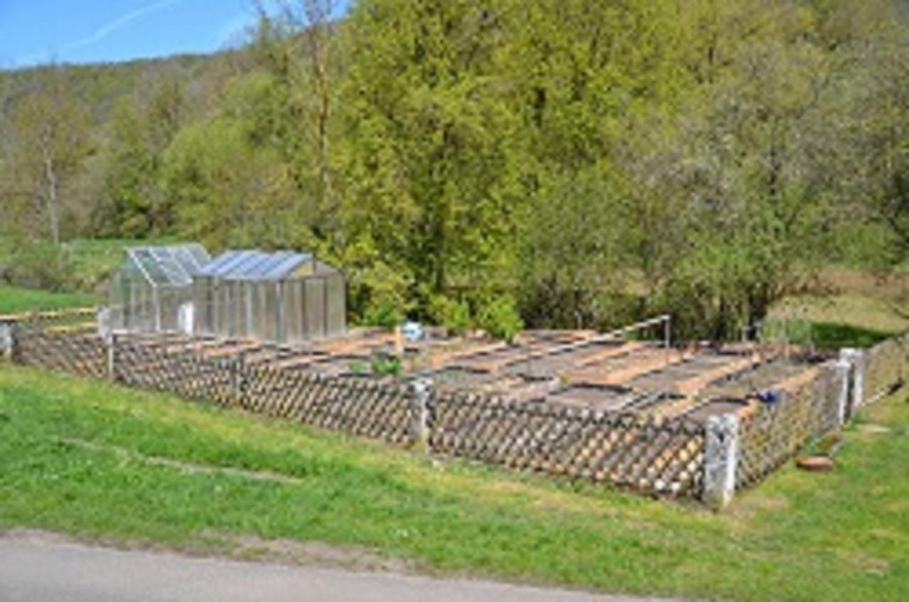 Gasthaus Holdermuehle Creglingen Buitenkant foto