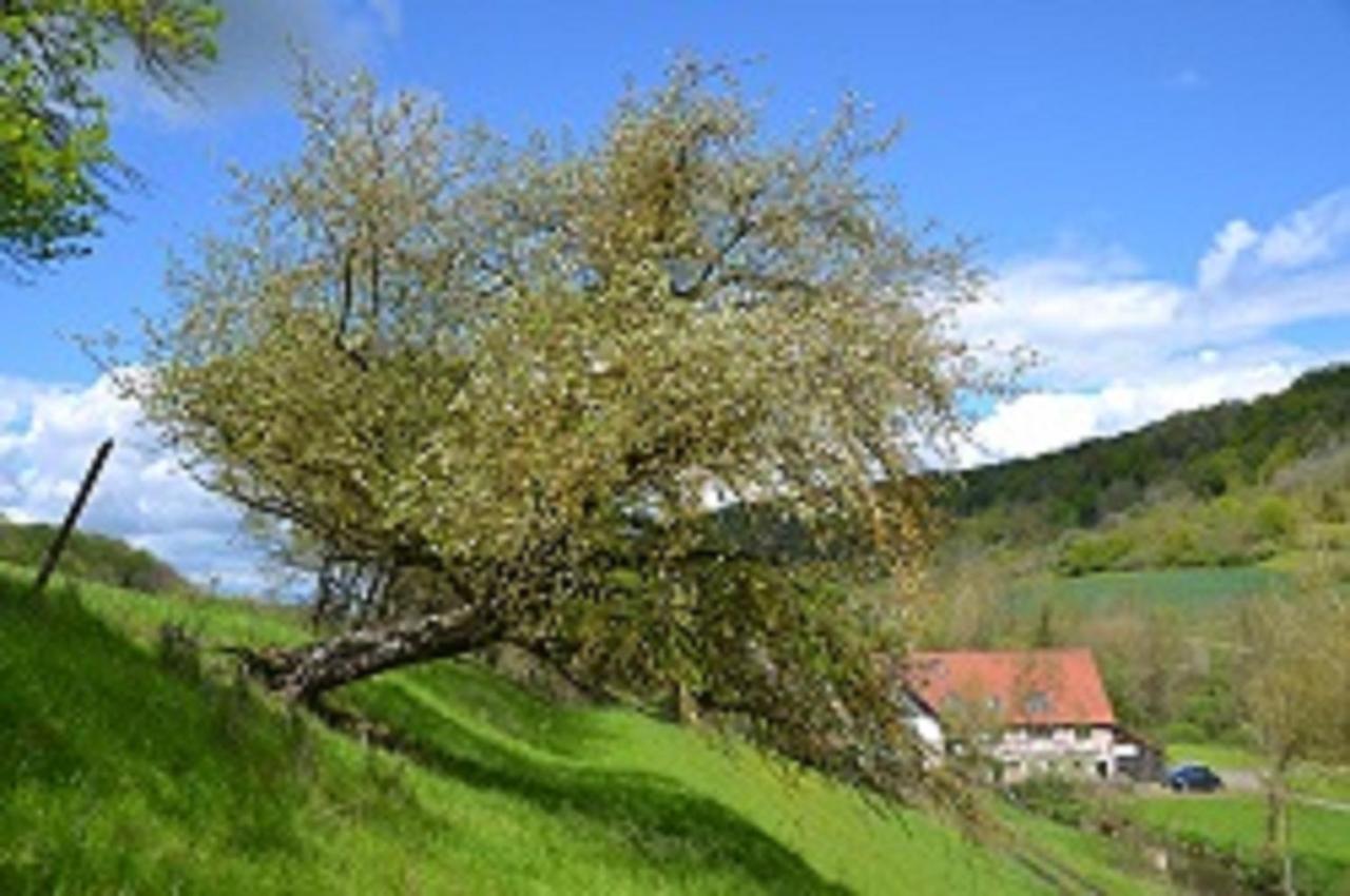 Gasthaus Holdermuehle Creglingen Buitenkant foto